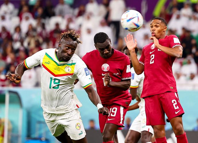 卡塔尔vs塞内加尔队的相关图片